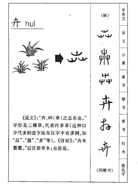 卉五行|「卉康熙字典笔画」卉字五行属什么,卉字起名的寓意含义